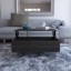 McConnellsburg Lift Top 4 Leg Coffee Table with Storage
