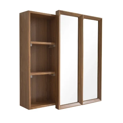 Ancelmo Surface Mount Frameless 2 Door Medicine Cabinet