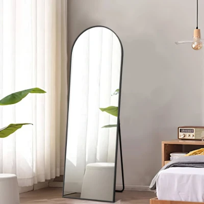 Neutype Aluminum Alloy Full-length Mirror Arch Decorative Mirror 