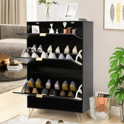 White Aadhyareddy 12 Pairs Solid + Manufactured Wood Shoe Storage Cabinet