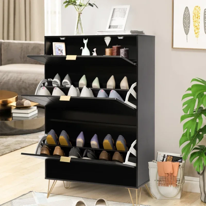 White Aadhyareddy 12 Pairs Solid + Manufactured Wood Shoe Storage Cabinet