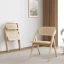 Picture of Zimir Dining Chair - 2 chairs