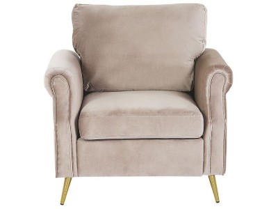 Picture of Daroa Modern Armchair – Natural Wood with Stainless Steel Legs