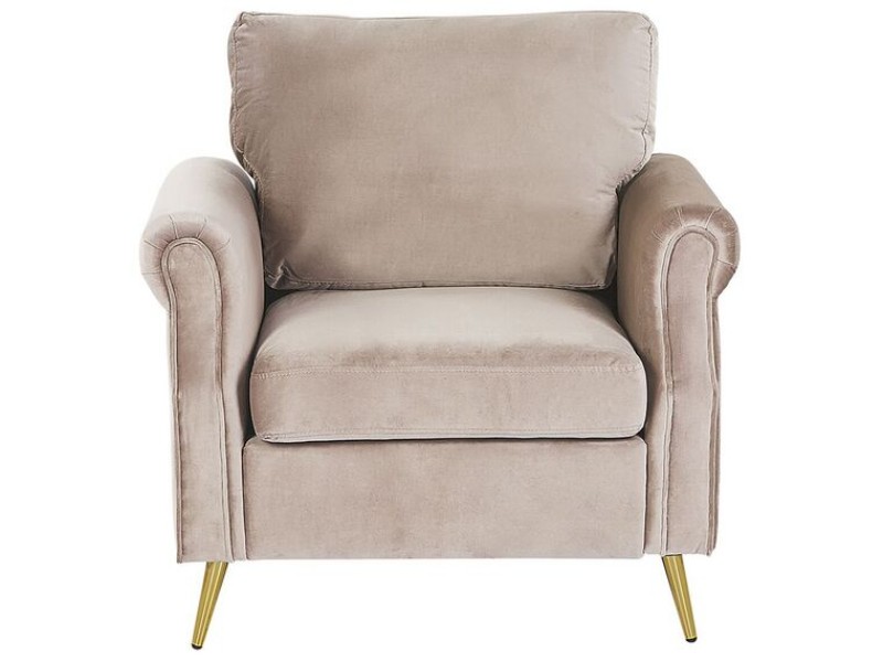 Picture of Daroa Modern Armchair – Natural Wood with Stainless Steel Legs