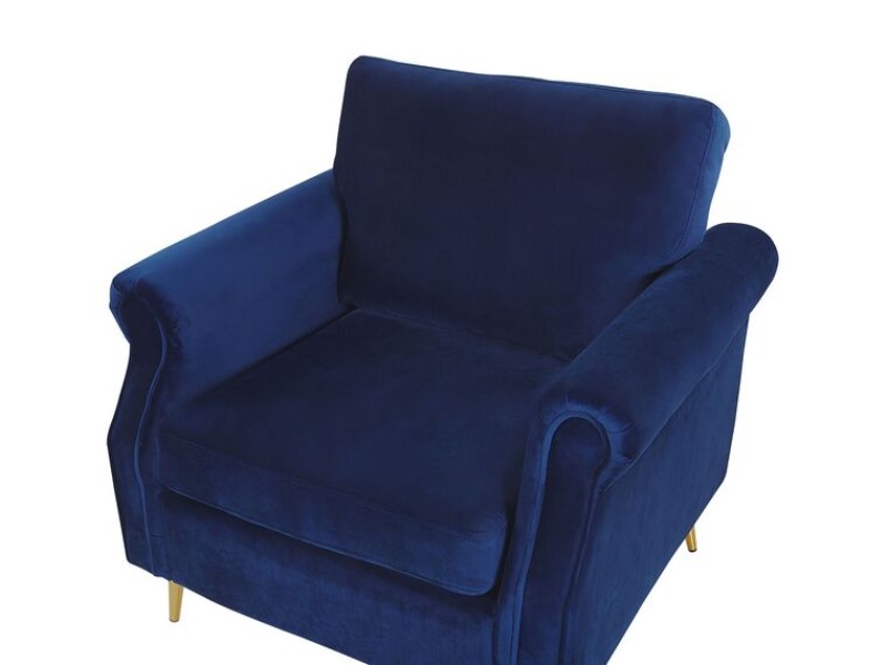 Picture of Daroa Modern Armchair – Natural Wood with Stainless Steel Legs