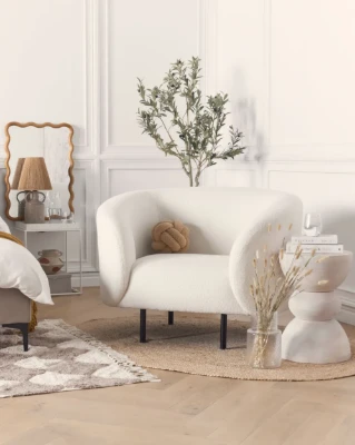 Viona – Modern Curved Armchair with Stainless Legs